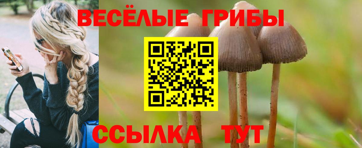Кандалакша  Галлюциногенные грибы мухоморы  Вход с VPN 